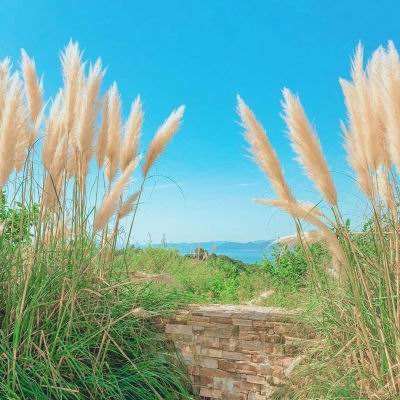 天博体育官网入口手机app下载